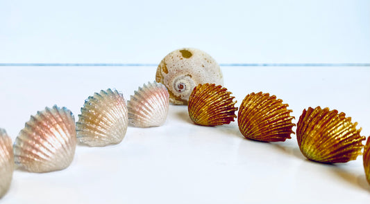 She Sells Seashells